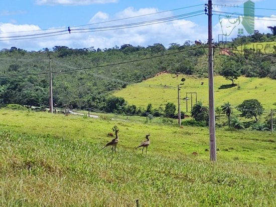 lote-venda-estrela-do-sul-em-mateus-leme-mg-514004