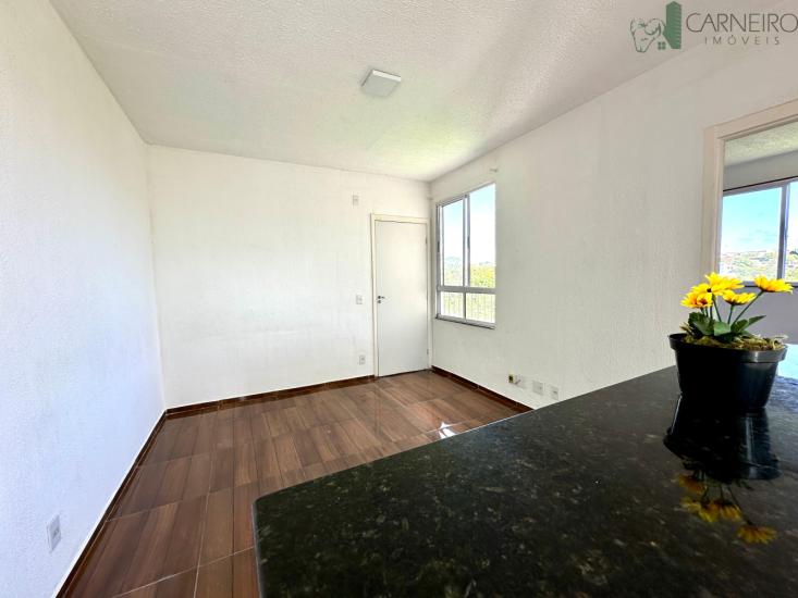 apartamento-venda-rosana-ribeirao-das-neves-998649