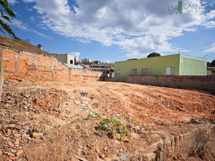 lote-venda-jardim-ala-justinopolis-ribeirao-das-neves-1026842
