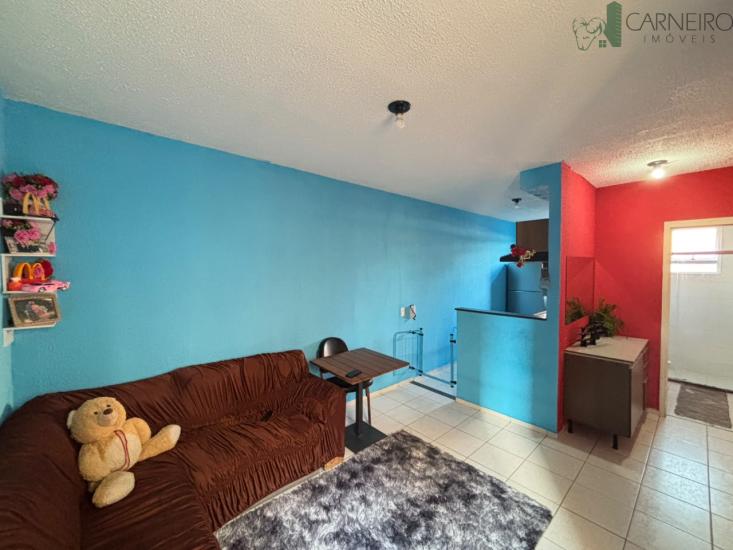 apartamento-venda-rosana-ribeirao-das-neves-1026853