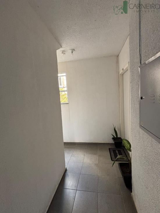 apartamento-venda-rosana-ribeirao-das-neves-1026845