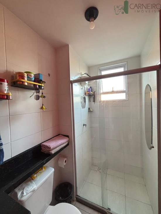 apartamento-venda-rosana-ribeirao-das-neves-1026848
