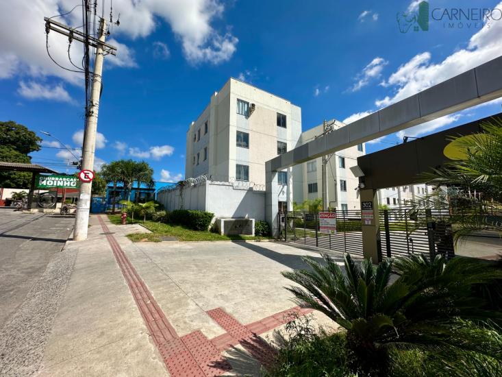 apartamento-venda-sao-pedro-ribeirao-das-neves-999025