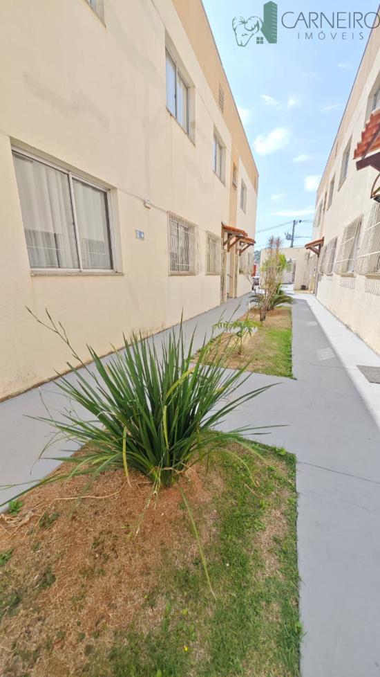 apartamento-venda-bom-sossego-ribeirao-das-neves-1027258