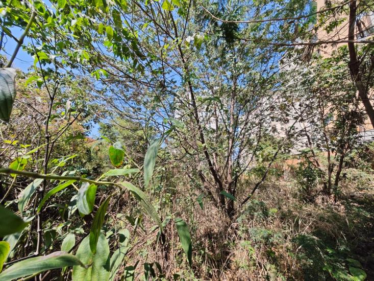 lote-venda-regiao-do-nacional-contagem-1007933